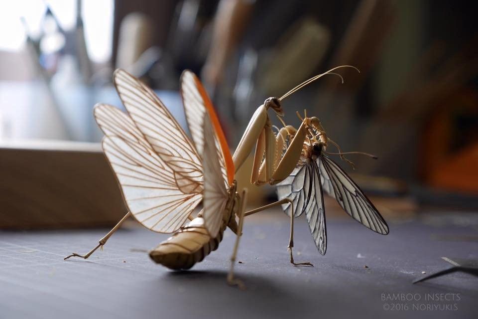 Бамбуковые скульптуры насекомых Noriyuki Saitoh