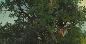 Картина Мещерского «Дерево, освещенное солнцем» ушла с молотка за 2 950 000 рублей