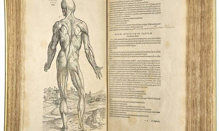 Учебник анатомии продан за 2,2 млн долларов