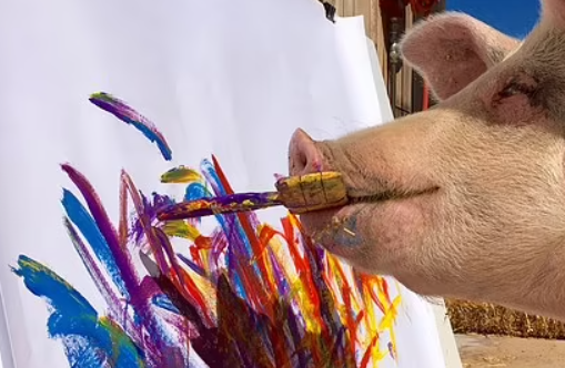 Умерла знаменитая свинья-художница Пигкассо