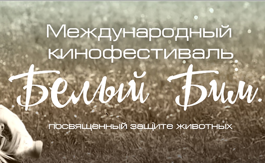 Первый международный кинофестиваль «Белый Бим» подвел итоги