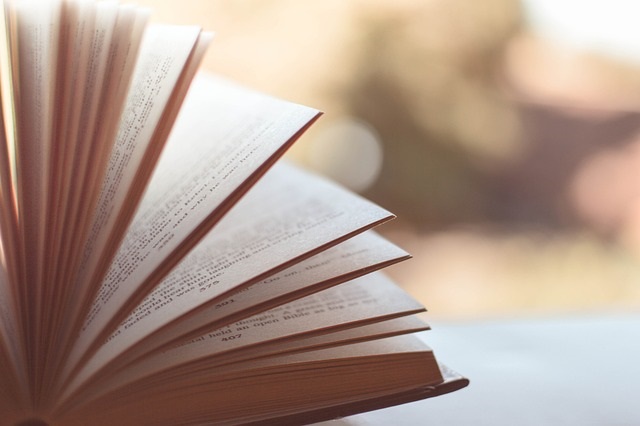 Опрос: россияне рассказали, сколько книг читают за год