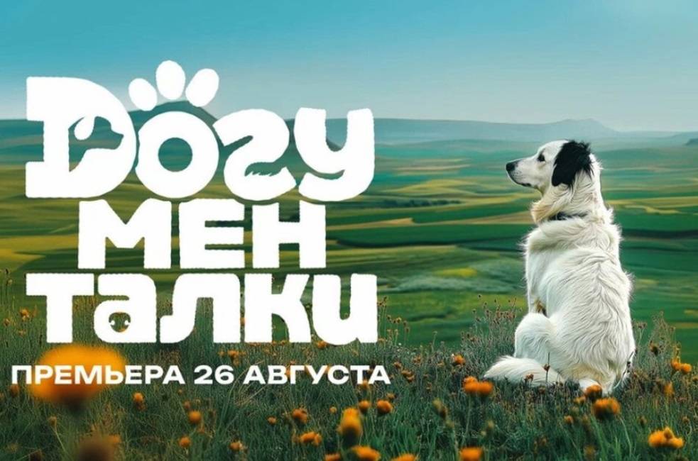 В Okko покажут фильмы, созданные специально для собак