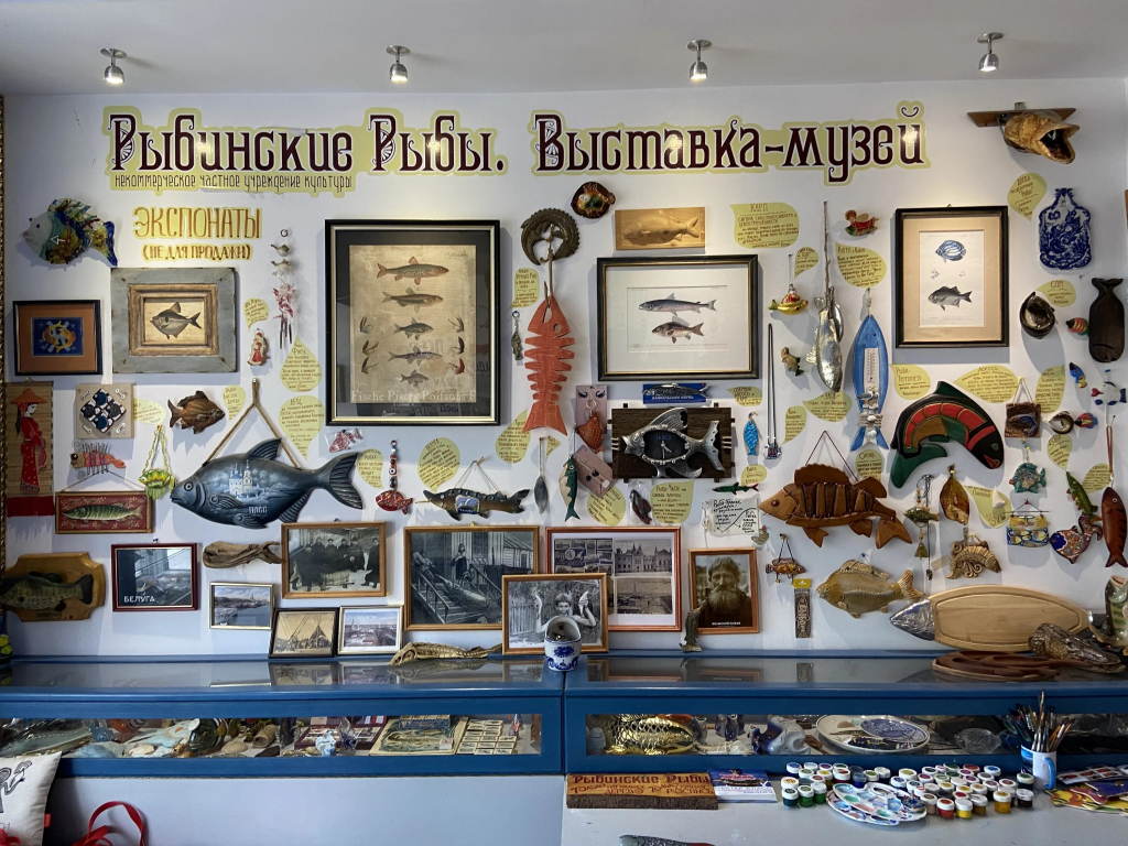 Рыбинские рыбы экспозиция.jpg