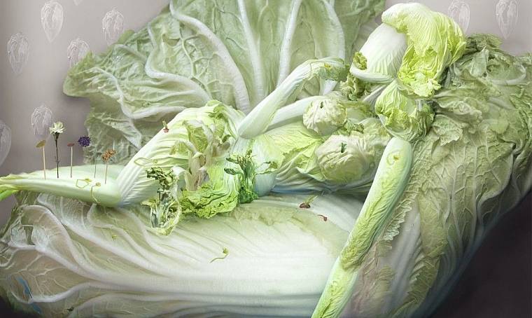 Овощной арт китайской художницы Ju Duoqi